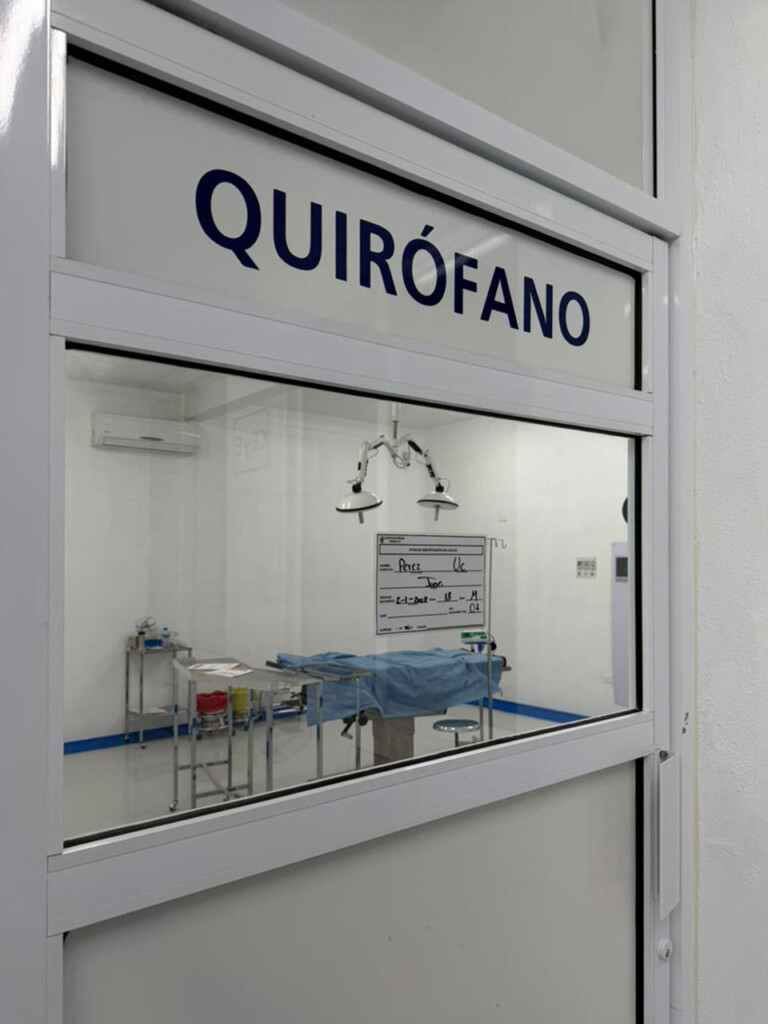 WhatsApp Image 2026-02-19 at 11.34.49 AM (1)